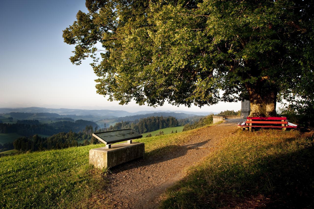 Landgasthof Und Seminarhotel Lueg Sumiswald