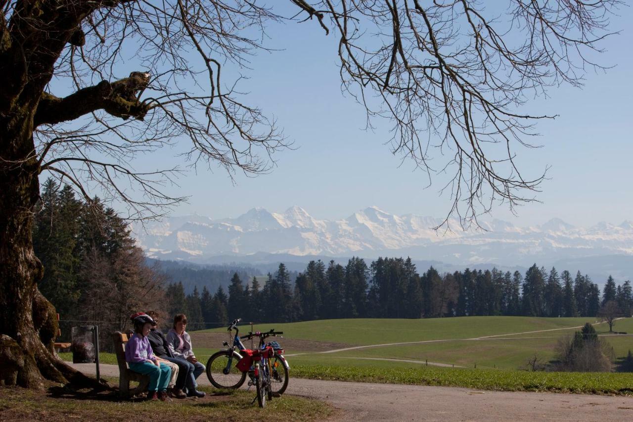 Hotel Landgasthof Und Seminarhotel Lueg